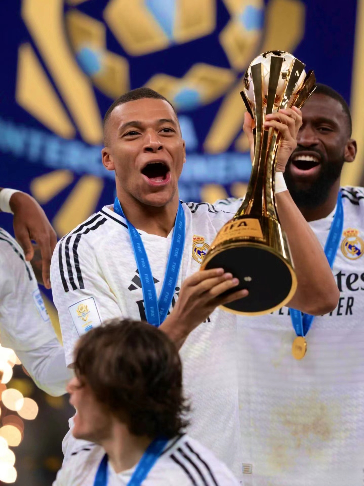 托多尼或许 托多尼或许