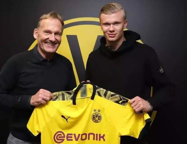 交互系统 交互系统